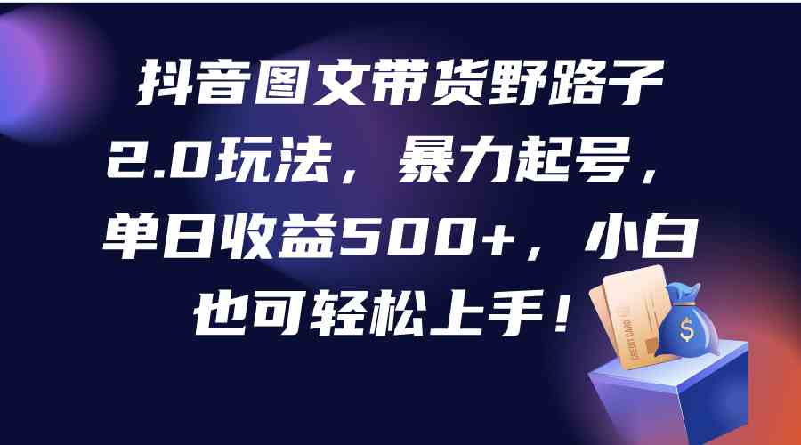 （9790期）抖音图文带货野路子2.0玩法，暴力起号，单日收益500+，小白也可轻松上手！-盛科网创
