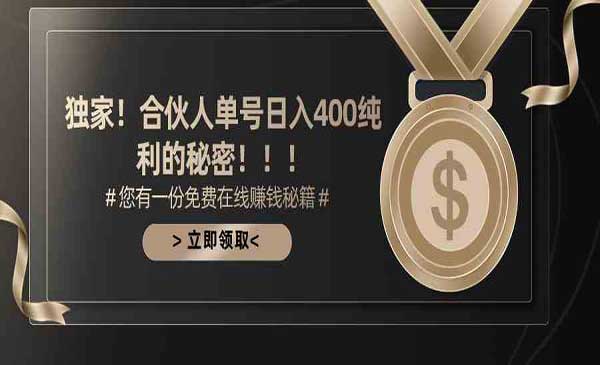 游戏合伙人撸金项目-盛科网创