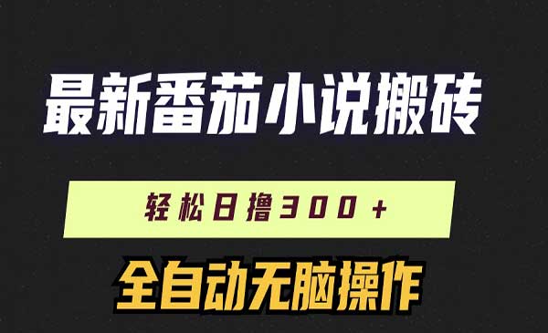 番茄小说搬砖项目，日入300+-盛科网创