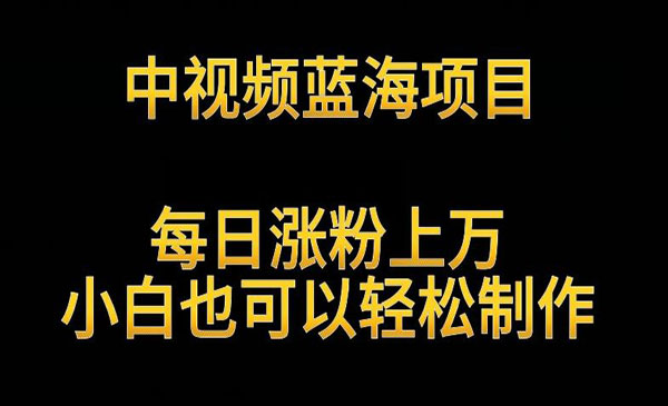 中视频解读英雄人物项目-盛科网创