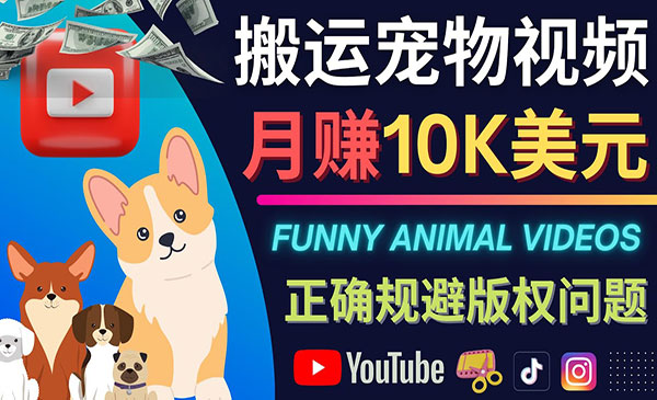 搬运宠物视频，月赚10K美元-盛科网创