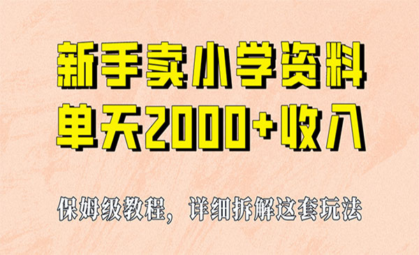小学资料虚拟资源项目，日入2000+-盛科网创