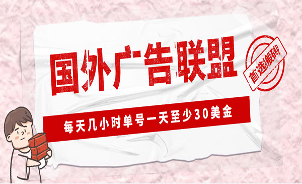 LEAD广告联盟搬砖项目，单号30美金一天-盛科网创