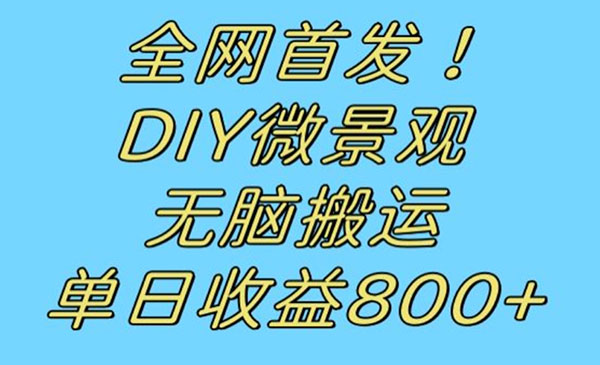 DIY微景观无脑搬运，日入800+-盛科网创