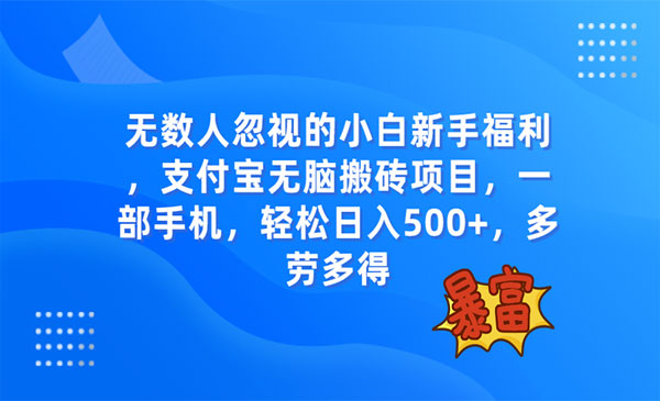支付宝无脑搬砖项目，日入500+-盛科网创