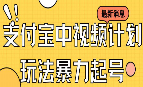 支付宝中视频暴力起号-盛科网创