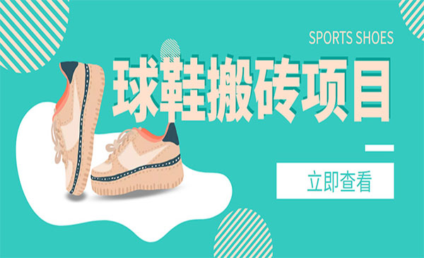 球鞋搬砖项目，外面收998-盛科网创