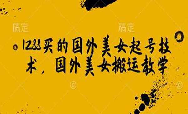 国外美女视频搬运项目-盛科网创