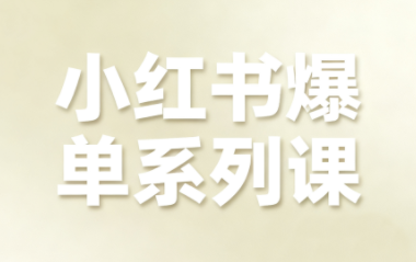 尼采老师·小红书爆单系列课-盛科网创