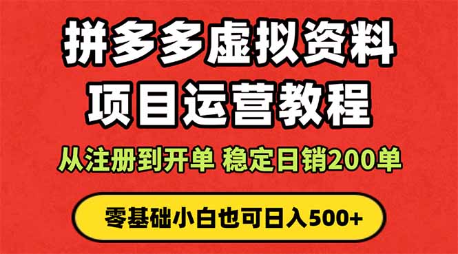 拼多多开店运营课程： 蓝海变现玩法，轻松实现睡后收入 零基础小白也可…-盛科网创