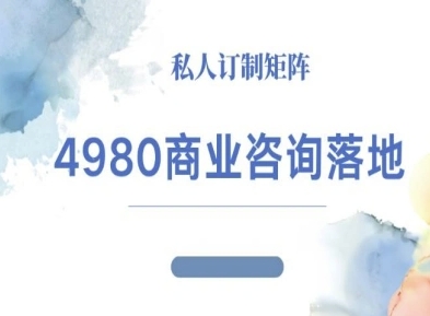 4980商业咨询师落地课程-ip运营高客单教程-盛科网创