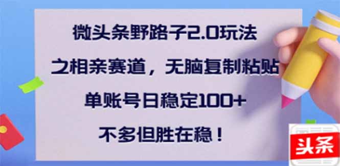 （14334期）微头条野路子2.0玩法之相亲赛道，无脑搬砖复制粘贴，单账号日稳定300+…-盛科网创