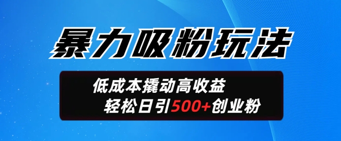 暴力吸粉玩法，日引500+精准创业粉，日变现轻松多张-盛科网创
