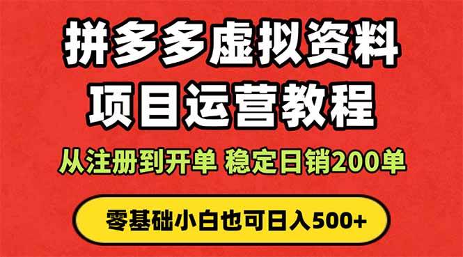 （16220期）拼多多开店运营课程： 蓝海变现玩法，轻松实现睡后收入 零基础小白也可…-盛科网创