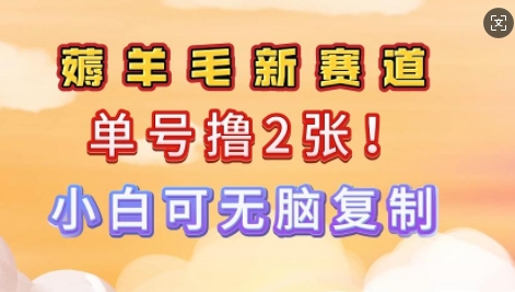 信息差项目，单号0撸140，可矩阵多号多撸，小白0难度上手-盛科网创