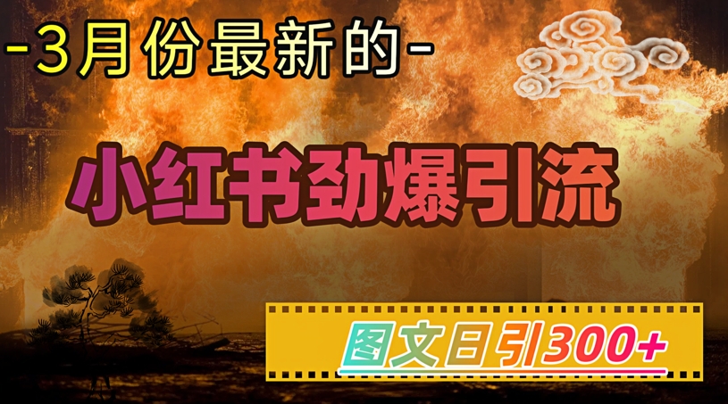 小红书超劲爆引流手段，图文日引300+轻松变现1W-盛科网创