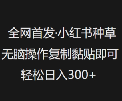 全网首发，小红书种草无脑操作，复制黏贴即可，轻松日入3张-盛科网创