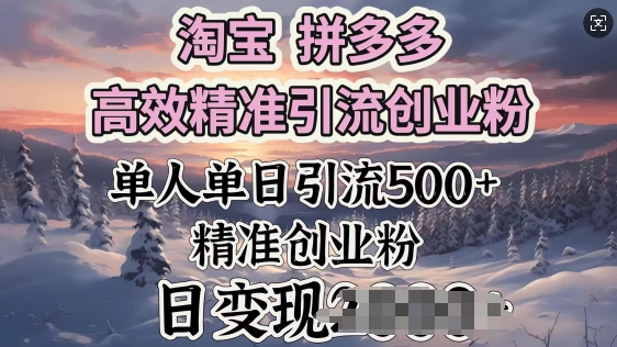淘宝拼多多高效精准引流创业粉，单人单日引流500+创业粉，日变现多张-盛科网创