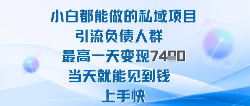 2025年小白都能做的私域项目引流负债人群最高一天变现1k+高变现难度低当天就能见到钱上手快-盛科网创