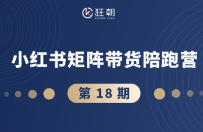 盗坤·抖音小红书视频号短视频带货与直播变现(11-18期)-盛科网创
