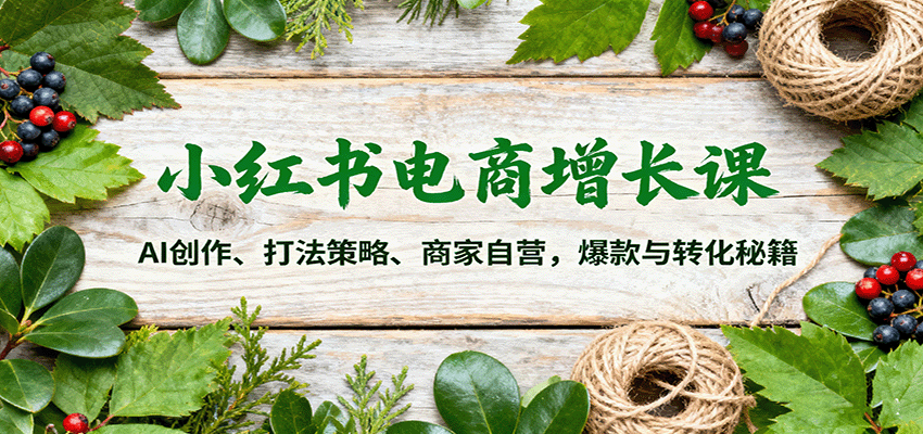 小红书电商增长课：AI创作、打法策略、商家自营，爆款与转化秘籍-盛科网创