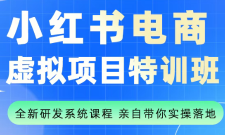 陆明明·小红书虚拟项目特训班(更新9月)-盛科网创