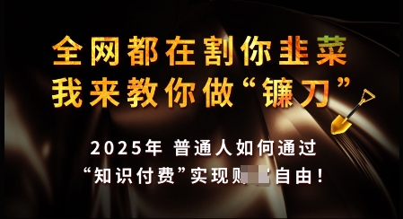 知识付费如何做到月入过W+，2025我来教你做“镰刀”【揭秘】-盛科网创