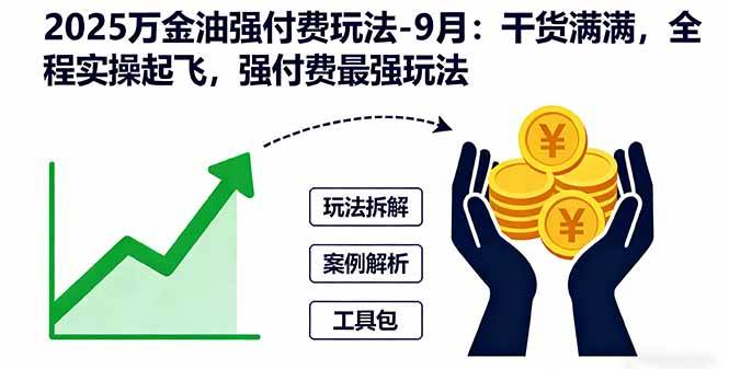 （16202期）2025万金油强付费玩法-9月：干货满满，全程实操起飞，强付费最强玩法-盛科网创