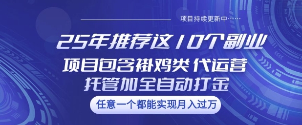 25年推荐这10个副业项目包含褂鸡类、代运营托管类、全自动打金类【揭秘】-盛科网创