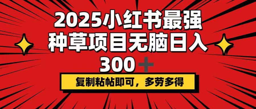 （14375期）2025小红书最强种草项目，无脑日入300+，复制粘帖即可，多劳多得-盛科网创