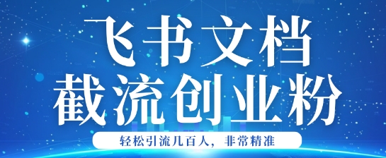 利用飞书文档截流创业粉轻松引流200+-盛科网创
