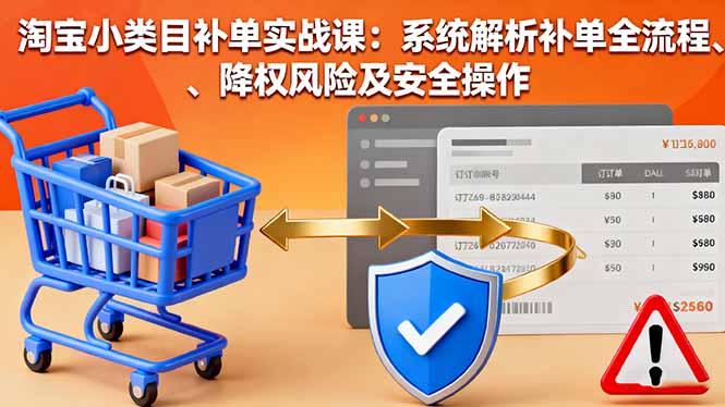 淘宝小类目补单实战课：系统解析补单全流程、降权风险及安全操作-盛科网创