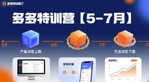 多多特训营，产品决定上限，方法决定下限，各种玩法技巧落地实操(更新)-盛科网创