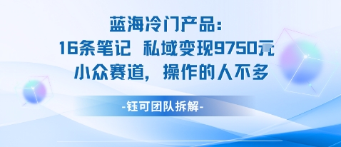 蓝海项目：16条笔记私域变现9750米小众赛道操作的人不多-盛科网创