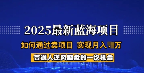2025蓝海项目，普通人如何通过卖项目，实现月入过W，全过程【揭秘】-盛科网创