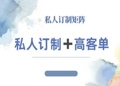 小红书自媒体咨询师IP教程，私人定制+高客单-盛科网创