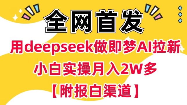 用deepseek做即梦Ai拉新 小白实操月入过W+【附报白渠道】-盛科网创