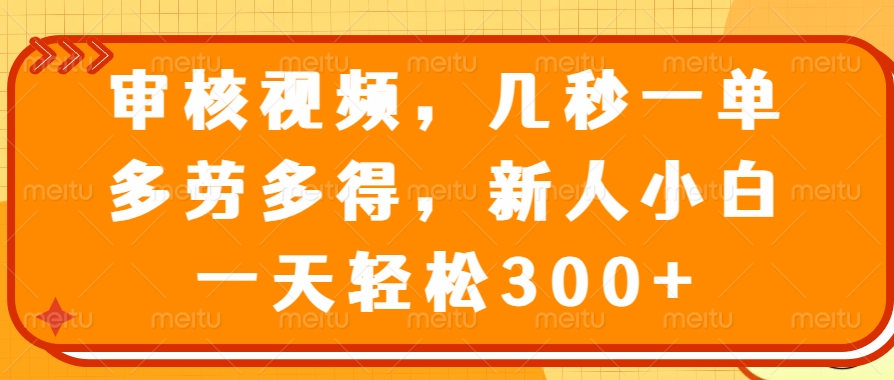 （14294期）审核视频，几秒一单，多劳多得，新人小白一天轻松300+-盛科网创