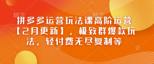 拼多多运营玩法课高阶运营【2月更新】，极致群爆款玩法，轻付费无尽复制等-盛科网创