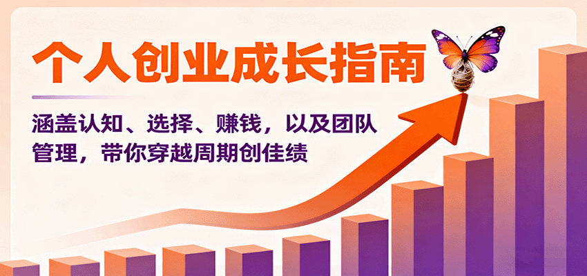 个人创业成长指南：涵盖认知、选择、赚钱，以及团队管理，带你穿越周期创佳绩-盛科网创