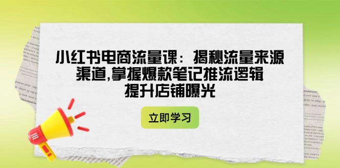 （14318期）小红书电商流量课：揭秘流量来源渠道,掌握爆款笔记推流逻辑,提升店铺曝光-盛科网创