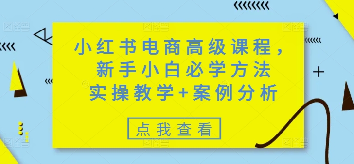 小红书电商高级课程，新手小白必学方法，实操教学+案例分析-盛科网创