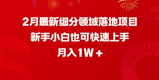 2月最新细分领域落地项目，新手小白也可快速上手，月入1W-盛科网创