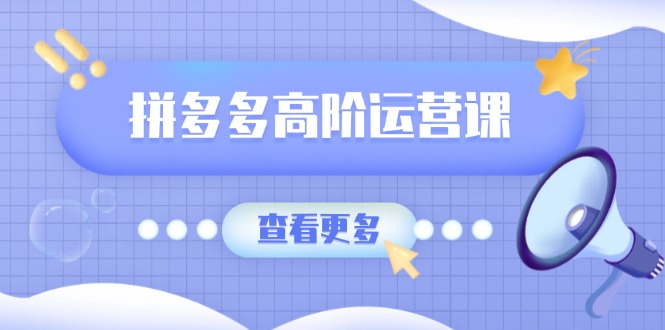 （14327期）拼多多高阶运营课：极致群爆款玩法，轻付费无尽复制，打造单品爆款之路-盛科网创