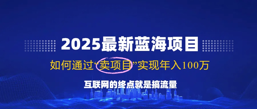 （14305期）2025最新蓝海项目，零门槛轻松复制，月入10万+，新手也能操作！-盛科网创