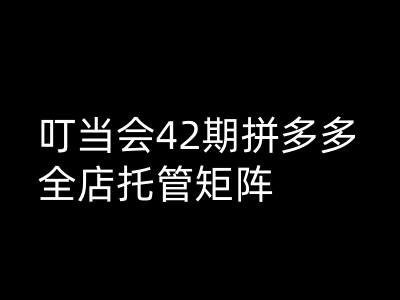 叮当会拼多多打爆班原创高阶技术第42期，拼多多全店托管矩阵-盛科网创